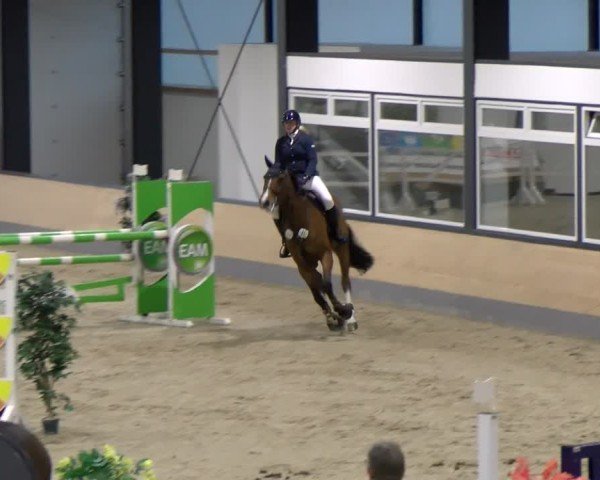 Reitturnier Borken 2024