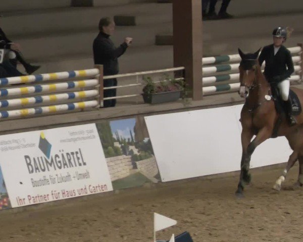 Reitturnier Neuwied 2024