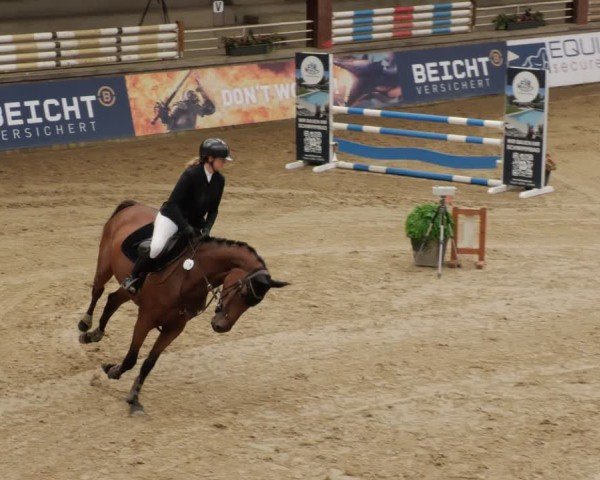 Reitturnier Neuwied 2024