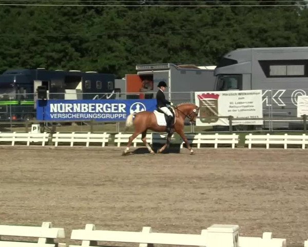 60. Lobbericher Reitsportfestival 01.-04.08.2013