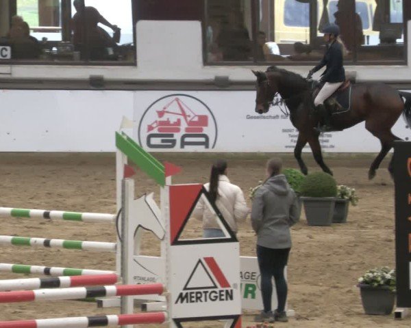 Reitturnier Neuwied 2024
