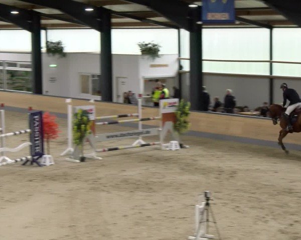Reitturnier Borken 2024
