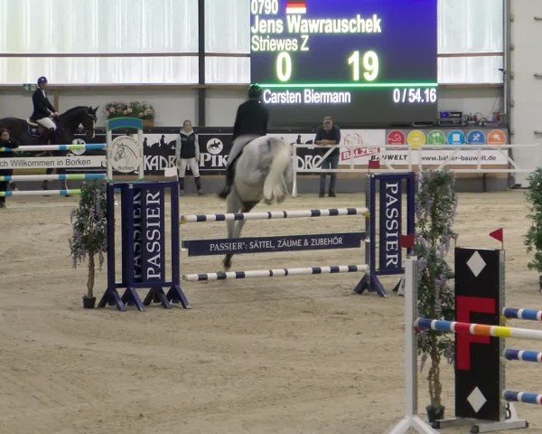 Reitturnier Borken 2024