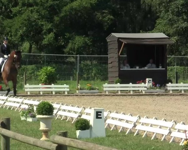 60. Lobbericher Reitsportfestival 01.-04.08.2013