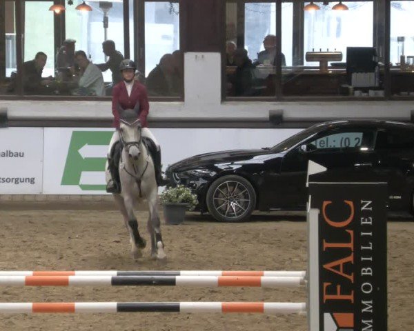 Reitturnier Neuwied 2024