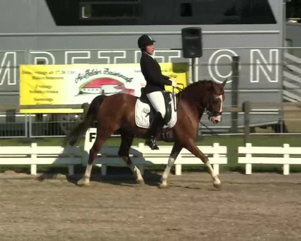 60. Lobbericher Reitsportfestival 01.-04.08.2013