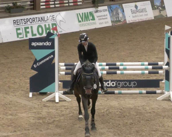 Reitturnier Neuwied 2024