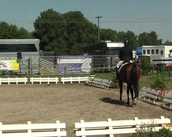 60. Lobbericher Reitsportfestival 01.-04.08.2013