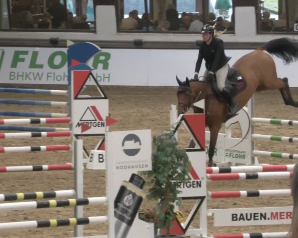 Reitturnier Neuwied 2024