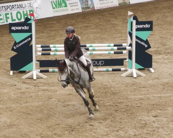 Reitturnier Neuwied 2024