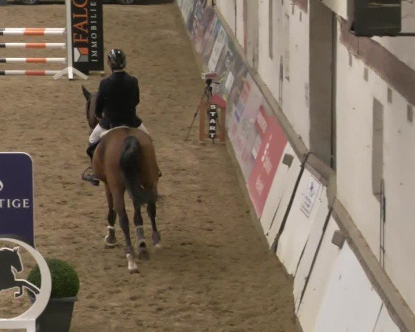 Reitturnier Neuwied 2024