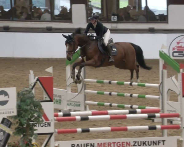 Reitturnier Neuwied 2024