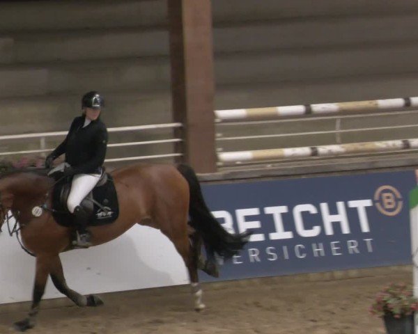 Reitturnier Neuwied 2024