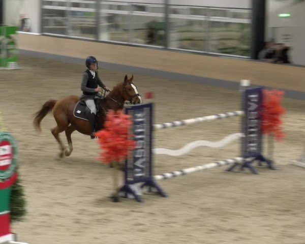 Reitturnier Borken 2024