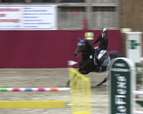 Reitturnier Krumke 2024