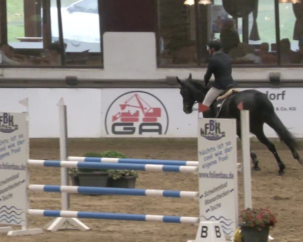 Reitturnier Neuwied 2024