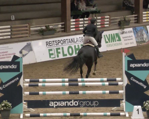 Reitturnier Neuwied 2024