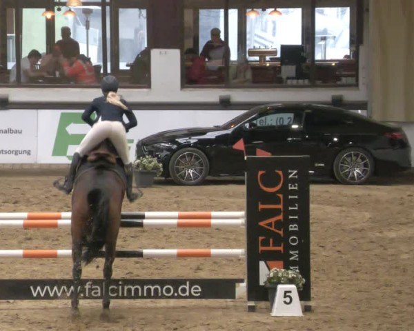 Reitturnier Neuwied 2024