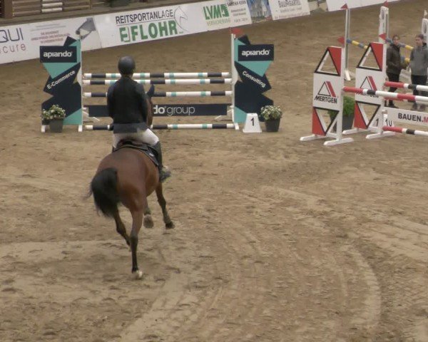 Reitturnier Neuwied 2024