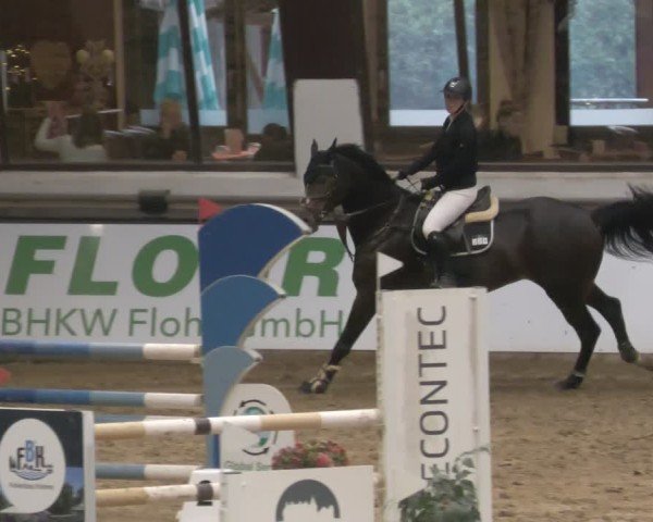 Reitturnier Neuwied 2024