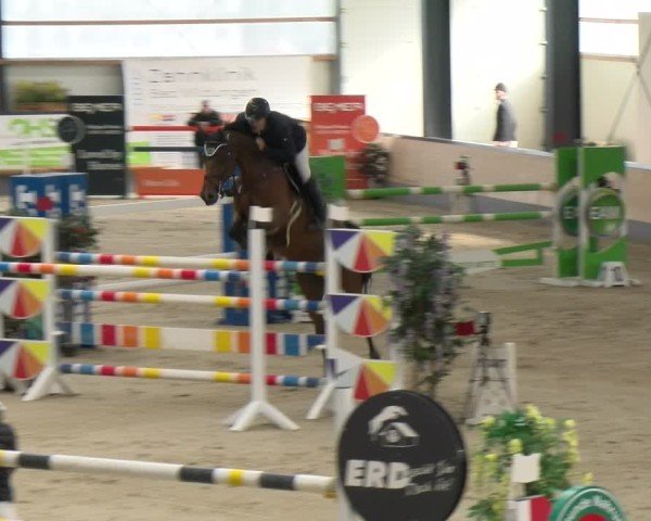 Reitturnier Borken 2024