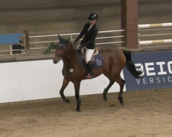 Reitturnier Neuwied 2024