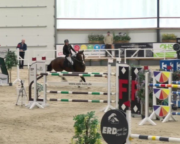Reitturnier Borken 2024
