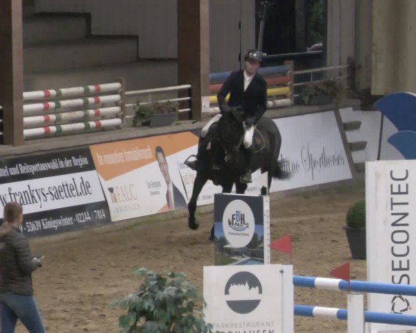 Reitturnier Neuwied 2024
