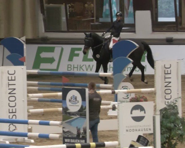 Reitturnier Neuwied 2024