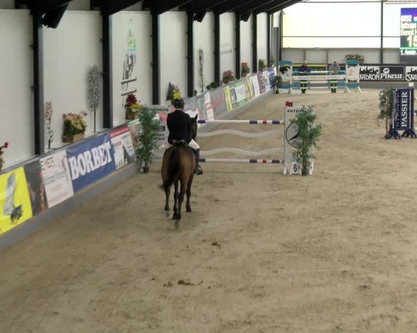 Reitturnier Borken 2024