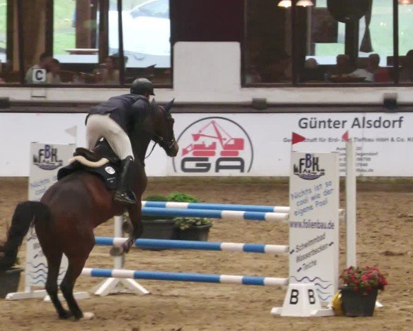 Reitturnier Neuwied 2024