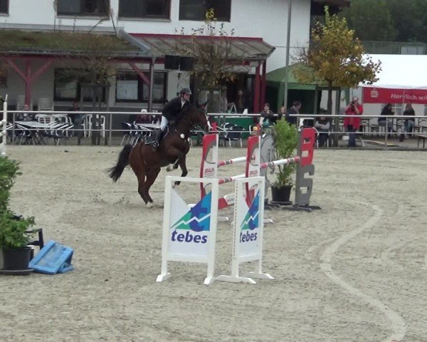 Reitturnier Achern 2024