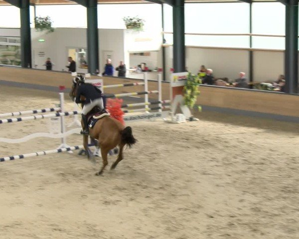 Reitturnier Borken 2024