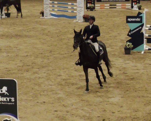 Reitturnier Neuwied 2024