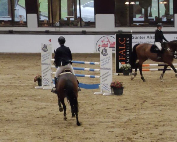 Reitturnier Neuwied 2024
