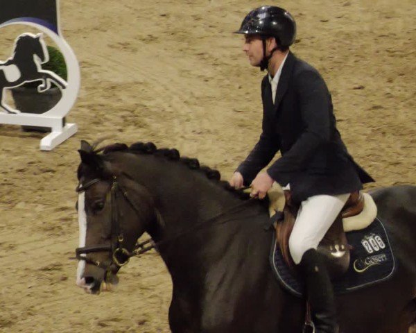 Reitturnier Neuwied 2024