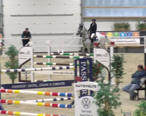 Reitturnier Borken 2024