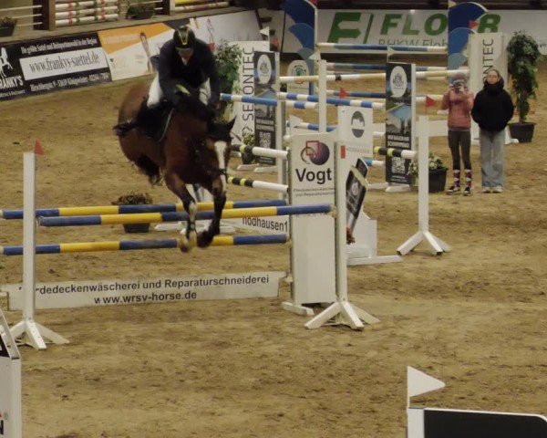 Reitturnier Neuwied 2024