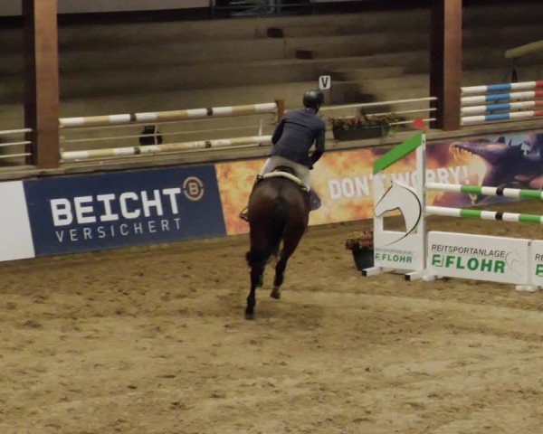 Reitturnier Neuwied 2024