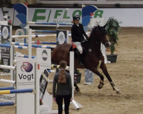 Reitturnier Neuwied 2024