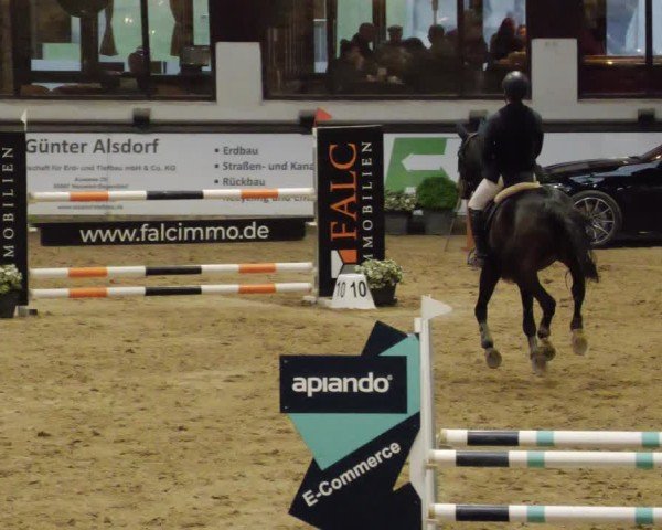 Reitturnier Neuwied 2024