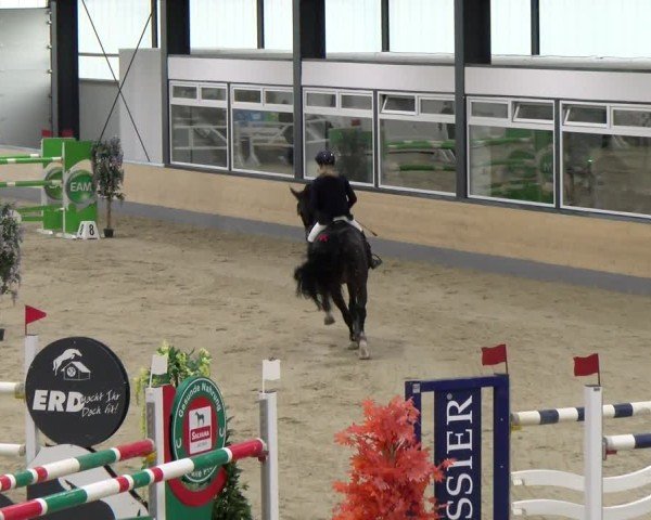 Reitturnier Borken 2024