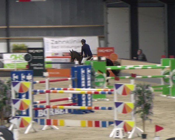 Reitturnier Borken 2024