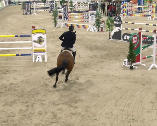 Reitturnier Borken 2024