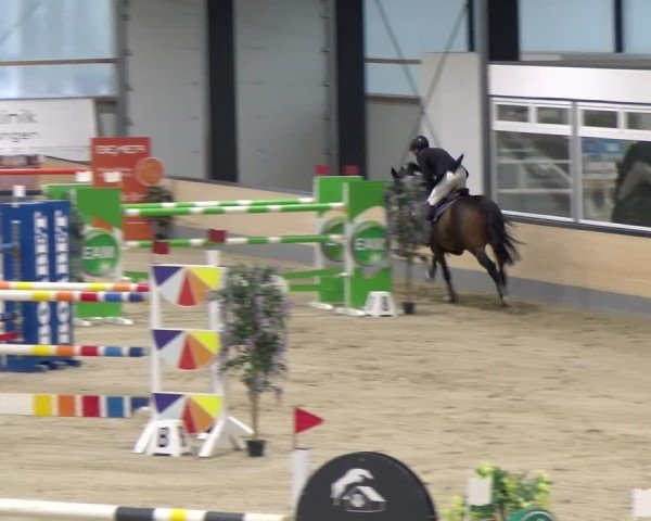 Reitturnier Borken 2024