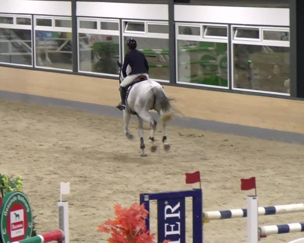 Reitturnier Borken 2024
