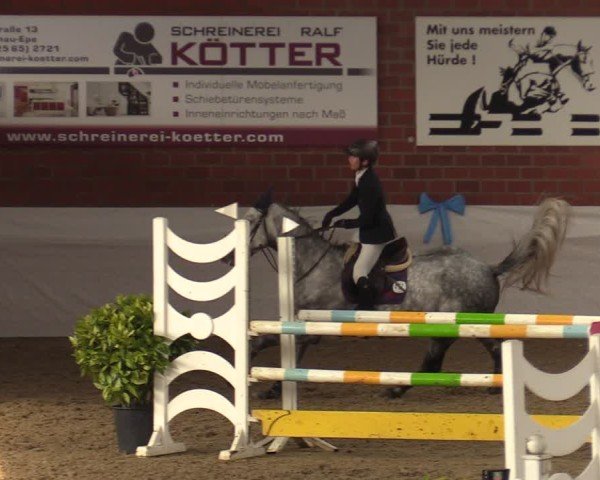 Reitturnier Gronau 2024