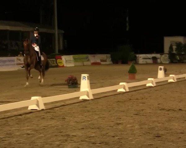 60. Lobbericher Reitsportfestival 01.-04.08.2013