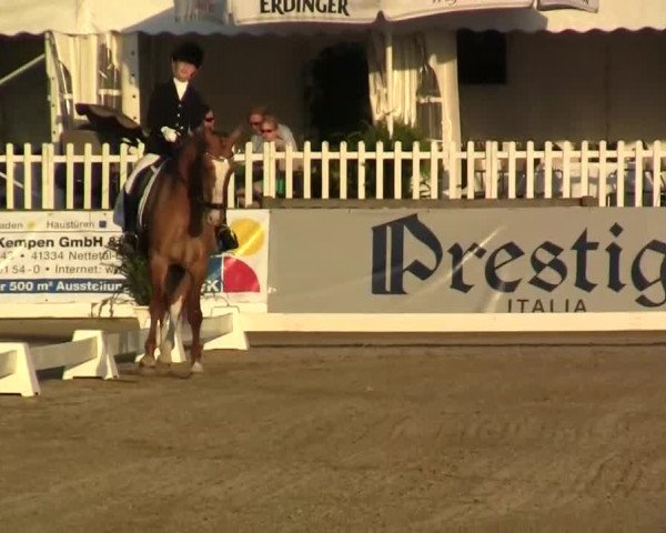 60. Lobbericher Reitsportfestival 01.-04.08.2013