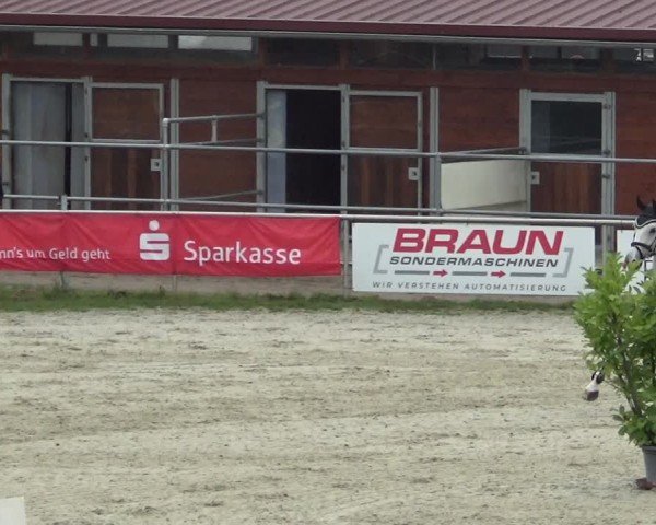 Reitturnier Achern 2024